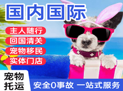 黑河机场物流国际宠物托运 【国